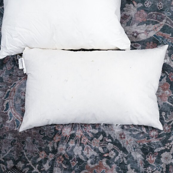 Crate&Barrel Set of 2 Down and Down Alternative Pillows - Square and Rectangle - Picture 6 of 11